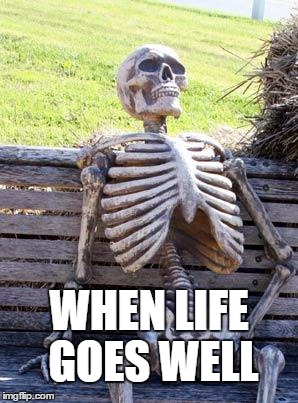 Waiting Skeleton | WHEN LIFE GOES WELL | image tagged in memes,waiting skeleton | made w/ Imgflip meme maker
