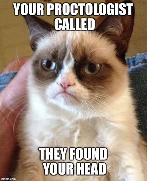 Grumpy Cat | YOUR PROCTOLOGIST CALLED; THEY FOUND YOUR HEAD | image tagged in memes,grumpy cat | made w/ Imgflip meme maker