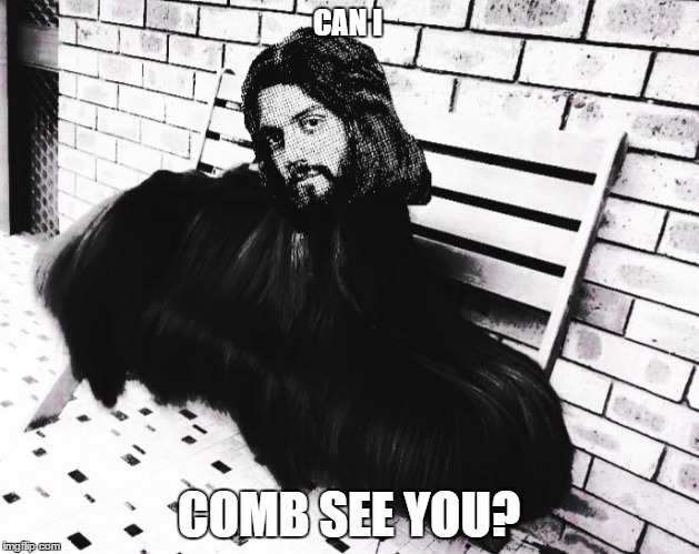 CAN I; COMB SEE YOU? | image tagged in funny dogs | made w/ Imgflip meme maker