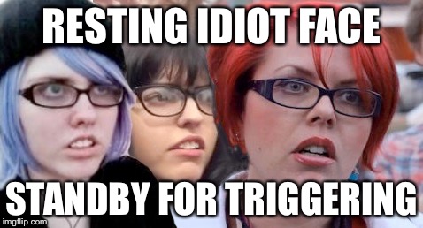 RESTING IDIOT FACE; STANDBY FOR TRIGGERING | image tagged in idiotface | made w/ Imgflip meme maker