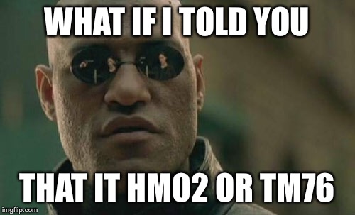 Matrix Morpheus Meme | WHAT IF I TOLD YOU THAT IT HM02 OR TM76 | image tagged in memes,matrix morpheus | made w/ Imgflip meme maker