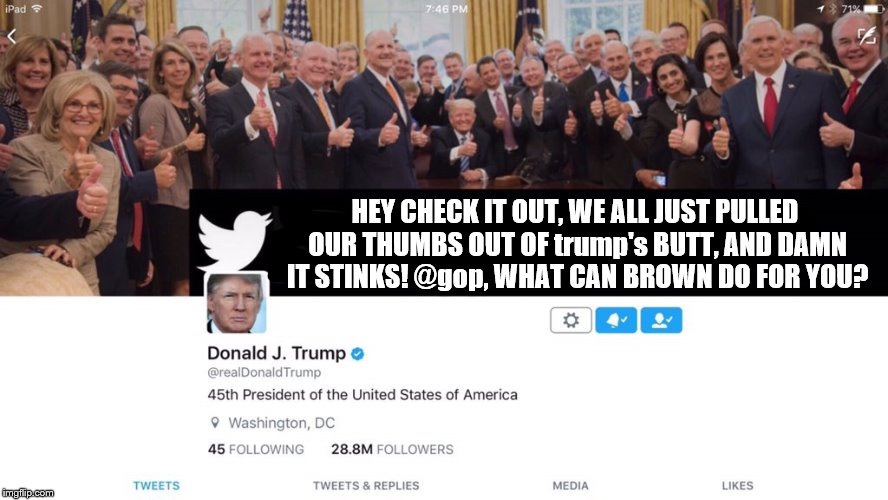 trump banner tweet | HEY CHECK IT OUT, WE ALL JUST PULLED OUR THUMBS OUT OF trump's BUTT, AND DAMN IT STINKS! @gop, WHAT CAN BROWN DO FOR YOU? | image tagged in donald trump clown,liar,banner,tweet,theresistance,gop | made w/ Imgflip meme maker