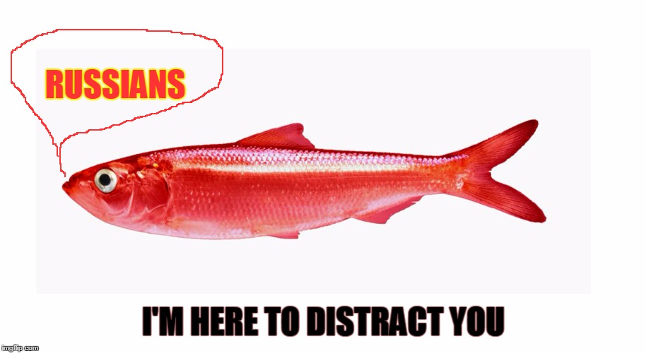 Red Herring  | RUSSIANS I'M HERE TO DISTRACT YOU | image tagged in red herring | made w/ Imgflip meme maker