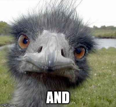 ostrich | AND | image tagged in ostrich | made w/ Imgflip meme maker