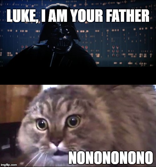 Star Wars Nonono | LUKE, I AM YOUR FATHER; NONONONONO | image tagged in memes,star wars no,nonono cat,retard,funny,funny memes | made w/ Imgflip meme maker