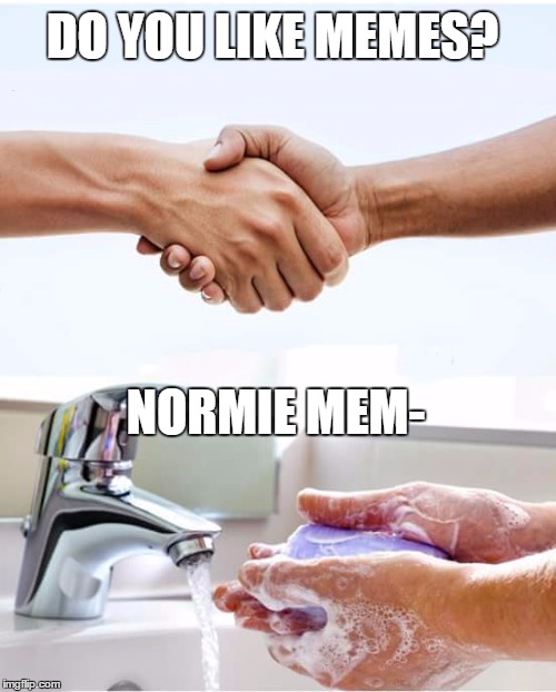 Washing hands | DO YOU LIKE MEMES? NORMIE MEM- | image tagged in washing hands | made w/ Imgflip meme maker