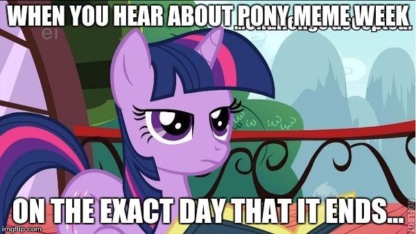 sorry, Xander. Didn't realize it was mlp week!  | WHEN YOU HEAR ABOUT PONY MEME WEEK; ON THE EXACT DAY THAT IT ENDS... | image tagged in mlp meme week,twilight sparkle,memes | made w/ Imgflip meme maker