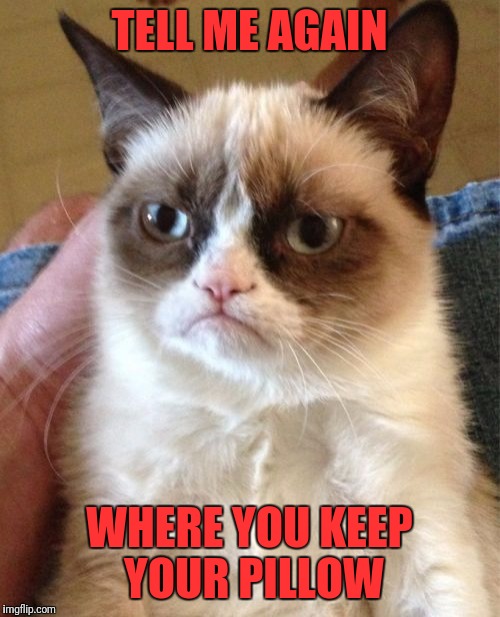 Grumpy Cat Meme | TELL ME AGAIN WHERE YOU KEEP YOUR PILLOW | image tagged in memes,grumpy cat | made w/ Imgflip meme maker