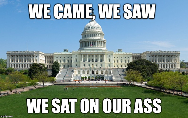 capitol hill | WE CAME, WE SAW; WE SAT ON OUR ASS | image tagged in capitol hill | made w/ Imgflip meme maker