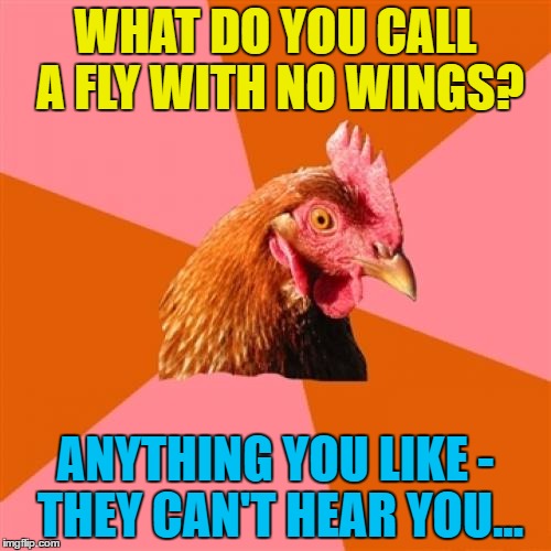 chicken fly strike