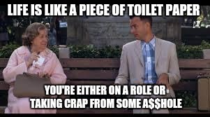 Forrest Gump's View In 2017 | LIFE IS LIKE A PIECE OF TOILET PAPER; YOU'RE EITHER ON A ROLE OR TAKING CRAP FROM SOME A$$HOLE | image tagged in forrest gump box of chocolates,funny,memes | made w/ Imgflip meme maker