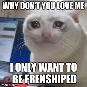 WHY DON'T YOU LOVE ME; I ONLY WANT TO BE FRENSHIPED | image tagged in crying earrape cat | made w/ Imgflip meme maker