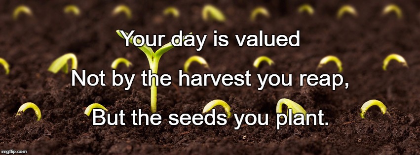 seeds | Your day is valued; Not by the harvest you reap, But the seeds you plant. | image tagged in seeds | made w/ Imgflip meme maker