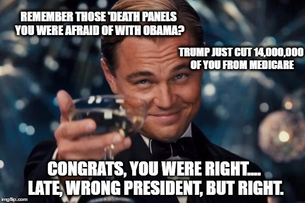 Leonardo Dicaprio Cheers Meme | REMEMBER THOSE 'DEATH PANELS YOU WERE AFRAID OF WITH OBAMA? TRUMP JUST CUT 14,000,00O OF YOU FROM MEDICARE; CONGRATS, YOU WERE RIGHT.... LATE, WRONG PRESIDENT, BUT RIGHT. | image tagged in memes,leonardo dicaprio cheers | made w/ Imgflip meme maker