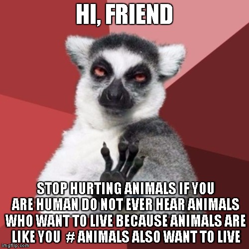 Chill Out Lemur | HI, FRIEND; STOP HURTING ANIMALS IF YOU ARE HUMAN DO NOT EVER HEAR ANIMALS WHO WANT TO LIVE BECAUSE ANIMALS ARE LIKE YOU

#
ANIMALS ALSO WANT TO LIVE | image tagged in memes,chill out lemur | made w/ Imgflip meme maker