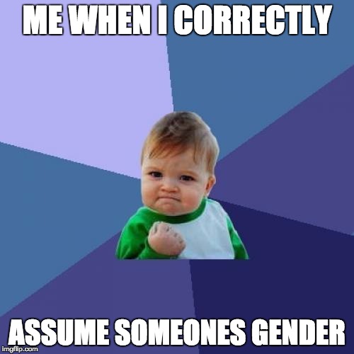 Me When I... | ME WHEN I CORRECTLY; ASSUME SOMEONES GENDER | image tagged in memes,success kid,did you just assume my gender | made w/ Imgflip meme maker