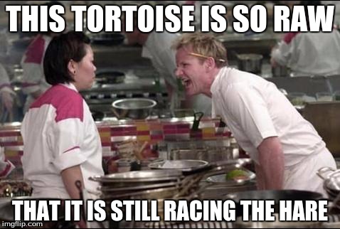 Angry Chef Gordon Ramsay Meme | THIS TORTOISE IS SO RAW; THAT IT IS STILL RACING THE HARE | image tagged in memes,angry chef gordon ramsay | made w/ Imgflip meme maker