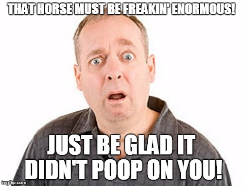 THAT HORSE MUST BE FREAKIN' ENORMOUS! JUST BE GLAD IT DIDN'T POOP ON YOU! | made w/ Imgflip meme maker