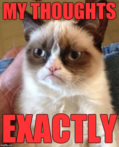 Grumpy Cat Meme | MY THOUGHTS EXACTLY | image tagged in memes,grumpy cat | made w/ Imgflip meme maker