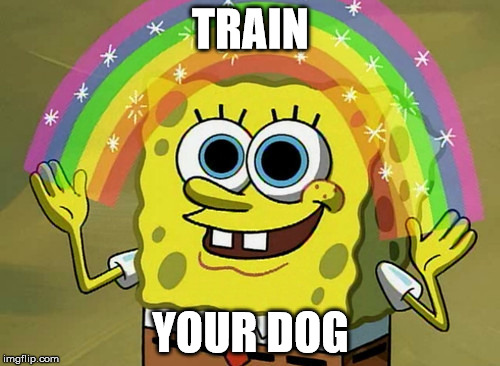 Train your dog | TRAIN; YOUR DOG | image tagged in memes,imagination spongebob,trainyourdog,furmom,furmoms,furdads | made w/ Imgflip meme maker