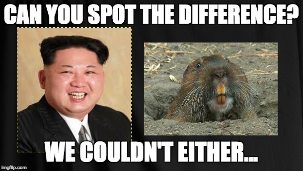 Kim Jon-Un | CAN YOU SPOT THE DIFFERENCE? WE COULDN'T EITHER... | image tagged in kim jong un,north korea,lol,gopher | made w/ Imgflip meme maker