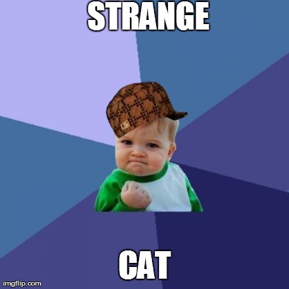 Success Kid Meme | STRANGE CAT | image tagged in memes,success kid | made w/ Imgflip meme maker