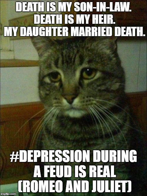 Depressed Cat | DEATH IS MY SON-IN-LAW. DEATH IS MY HEIR. MY DAUGHTER MARRIED DEATH. #DEPRESSION DURING A FEUD IS REAL (ROMEO AND JULIET) | image tagged in memes,depressed cat | made w/ Imgflip meme maker