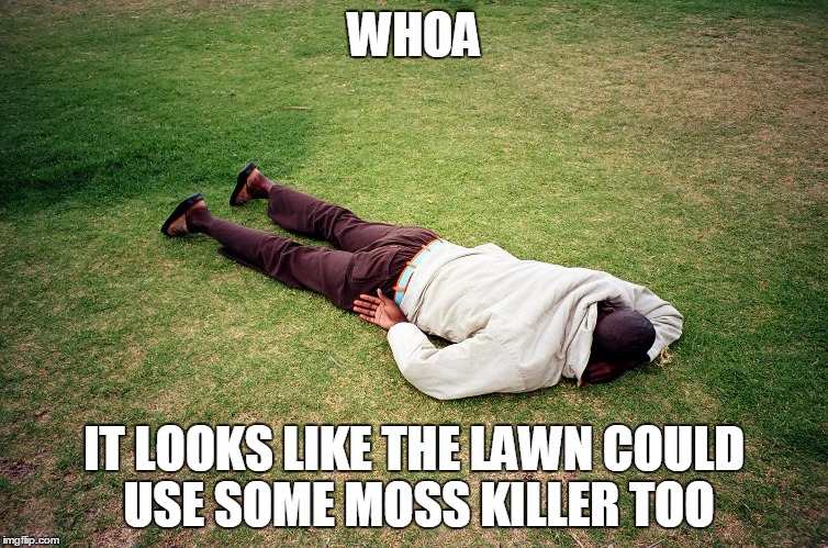 WHOA IT LOOKS LIKE THE LAWN COULD USE SOME MOSS KILLER TOO | made w/ Imgflip meme maker