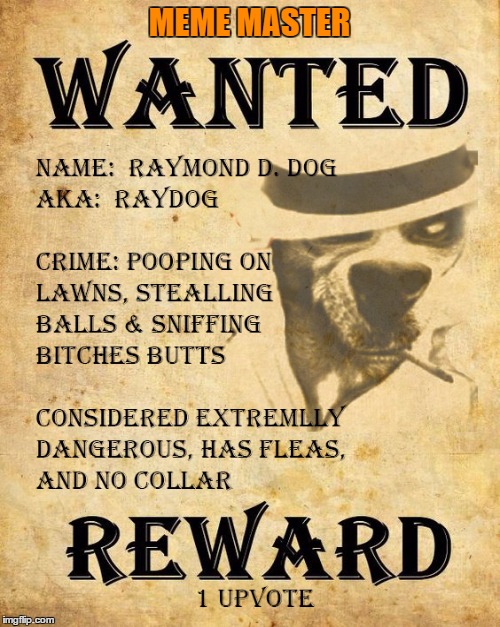 Wanted imgflip.com Top Dog, Reward One UpVote | MEME MASTER | image tagged in raydog,memes,imgflip,wanted,animals,dogs | made w/ Imgflip meme maker