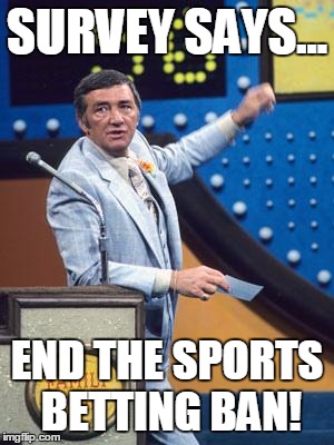 Survey Says | SURVEY SAYS... END THE SPORTS BETTING BAN! | image tagged in survey says | made w/ Imgflip meme maker