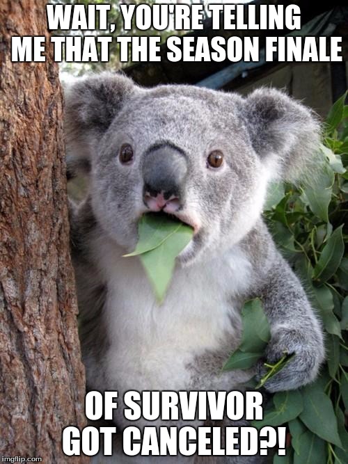 Surprised Koala Meme | WAIT, YOU'RE TELLING ME THAT THE SEASON FINALE; OF SURVIVOR GOT CANCELED?! | image tagged in memes,surprised koala | made w/ Imgflip meme maker