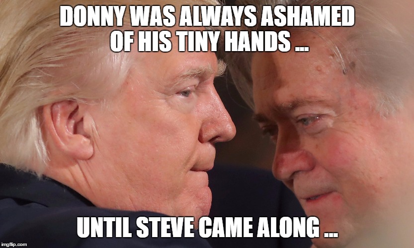 Boyfriends ... | DONNY WAS ALWAYS ASHAMED OF HIS TINY HANDS ... UNTIL STEVE CAME ALONG ... | image tagged in boyfriends | made w/ Imgflip meme maker