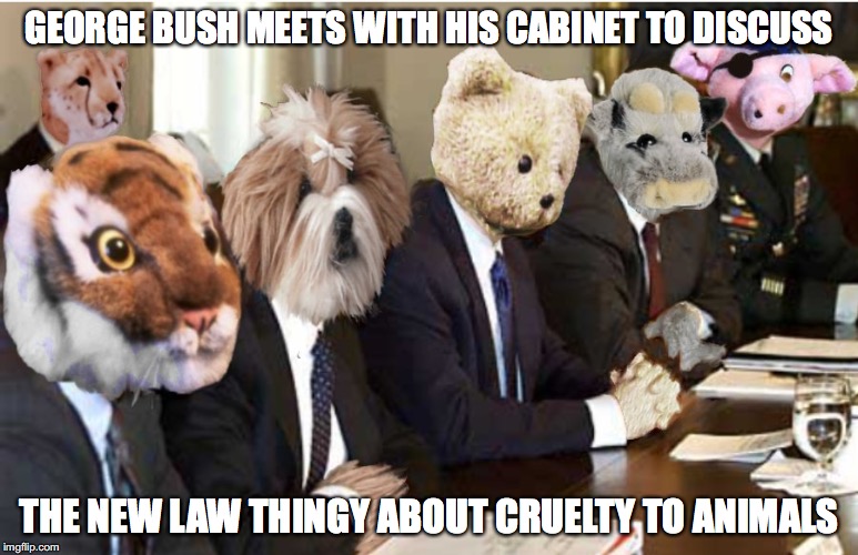 Furry Cabinet | GEORGE BUSH MEETS WITH HIS CABINET TO DISCUSS; THE NEW LAW THINGY ABOUT CRUELTY TO ANIMALS | image tagged in cabinet,memes | made w/ Imgflip meme maker