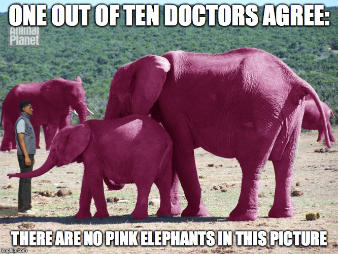 Pink Elephants | ONE OUT OF TEN DOCTORS AGREE:; THERE ARE NO PINK ELEPHANTS IN THIS PICTURE | image tagged in elephant,memes | made w/ Imgflip meme maker