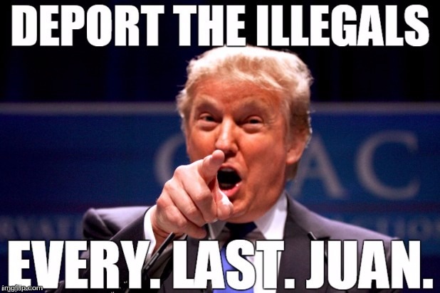 Funny political humor! (No debates please) | image tagged in illegals,puns,humor,trump,politics | made w/ Imgflip meme maker