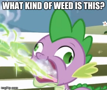 Twilight, that wasn't weed! | WHAT KIND OF WEED IS THIS? | image tagged in spike's weed everyday,memes,mlp week | made w/ Imgflip meme maker
