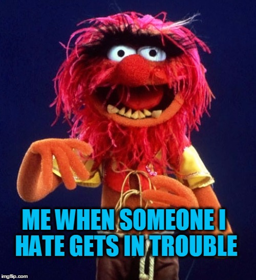 ME WHEN SOMEONE I HATE GETS IN TROUBLE | image tagged in laughing,the muppets,justice,funny memes | made w/ Imgflip meme maker