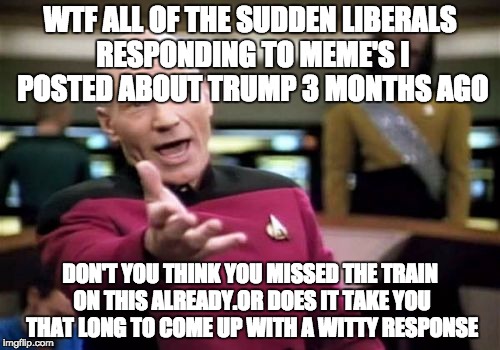 Picard Wtf | WTF ALL OF THE SUDDEN LIBERALS RESPONDING TO MEME'S I POSTED ABOUT TRUMP 3 MONTHS AGO; DON'T YOU THINK YOU MISSED THE TRAIN ON THIS ALREADY.OR DOES IT TAKE YOU THAT LONG TO COME UP WITH A WITTY RESPONSE | image tagged in memes,picard wtf | made w/ Imgflip meme maker