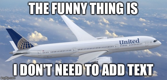 United Airlines 2 | THE FUNNY THING IS; I DON'T NEED TO ADD TEXT | image tagged in united airlines 2 | made w/ Imgflip meme maker