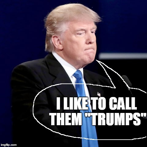 I LIKE TO CALL THEM "TRUMPS" | made w/ Imgflip meme maker