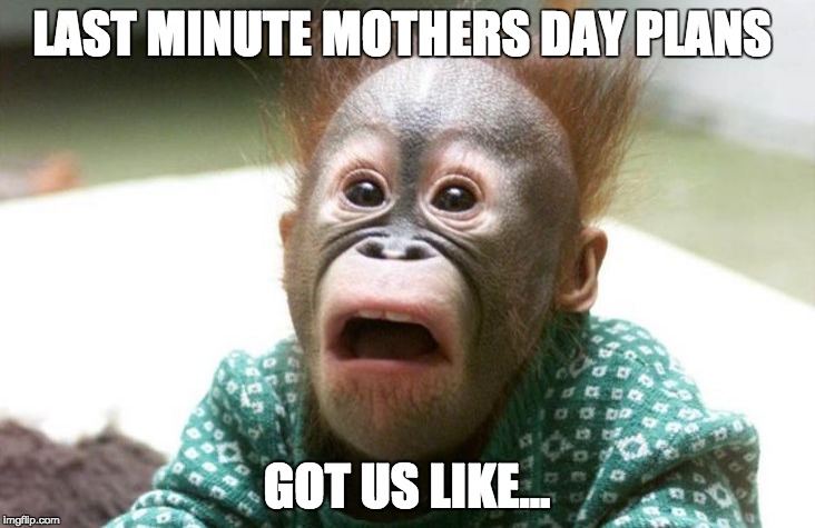 LAST MINUTE MOTHERS DAY PLANS; GOT US LIKE... | made w/ Imgflip meme maker