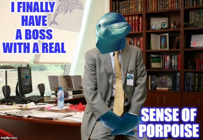 There is a message marked urchin; From the Sea Eheheh O'o   | I FINALLY HAVE A BOSS WITH A REAL; SENSE OF PORPOISE | image tagged in sea ehehe o'o,memes,the boss,funny,dolphins | made w/ Imgflip meme maker
