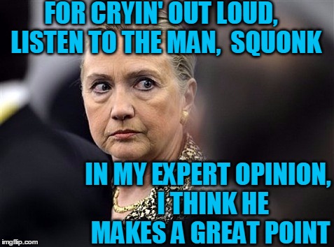 upset hillary | FOR CRYIN' OUT LOUD,  LISTEN TO THE MAN,  SQUONK IN MY EXPERT OPINION,  I THINK HE MAKES A GREAT POINT | image tagged in upset hillary | made w/ Imgflip meme maker