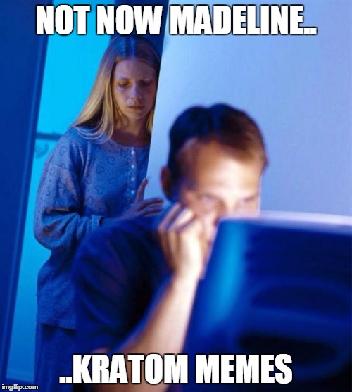 Redditor's Wife Meme | NOT NOW MADELINE.. ..KRATOM MEMES | image tagged in memes,redditors wife | made w/ Imgflip meme maker