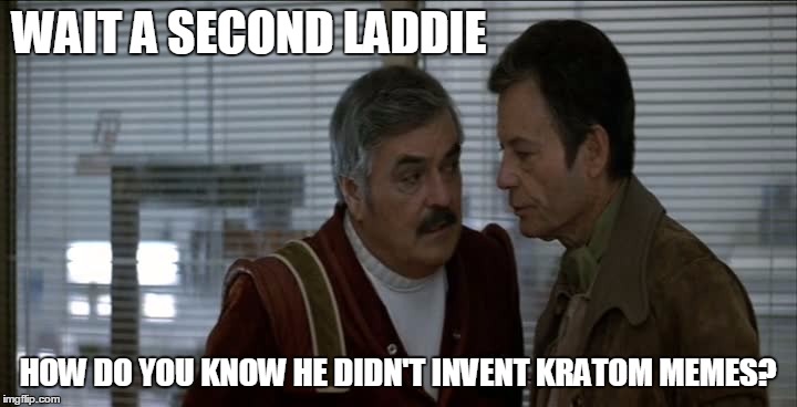 WAIT A SECOND LADDIE; HOW DO YOU KNOW HE DIDN'T INVENT KRATOM MEMES? | image tagged in funny memes | made w/ Imgflip meme maker