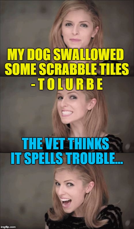 It should pass... :) | MY DOG SWALLOWED SOME SCRABBLE TILES - T O L U R B E; THE VET THINKS IT SPELLS TROUBLE... | image tagged in memes,bad pun anna kendrick,animals,dogs,vets,scrabble | made w/ Imgflip meme maker