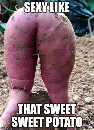 Vegetarianism  | SEXY LIKE; THAT SWEET SWEET POTATO | image tagged in vegetarians,whole foods,memes | made w/ Imgflip meme maker