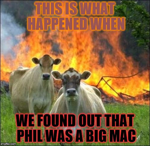 Evil Cows | THIS IS WHAT HAPPENED WHEN; WE FOUND OUT THAT PHIL WAS A BIG MAC | image tagged in memes,evil cows | made w/ Imgflip meme maker