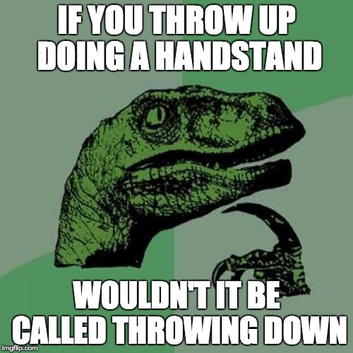 Philosoraptor | IF YOU THROW UP DOING A HANDSTAND; WOULDN'T IT BE CALLED THROWING DOWN | image tagged in memes,philosoraptor | made w/ Imgflip meme maker