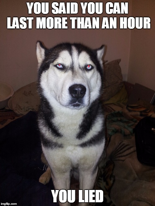 Sandra | YOU SAID YOU CAN LAST MORE THAN AN HOUR; YOU LIED | image tagged in husky dog bone | made w/ Imgflip meme maker